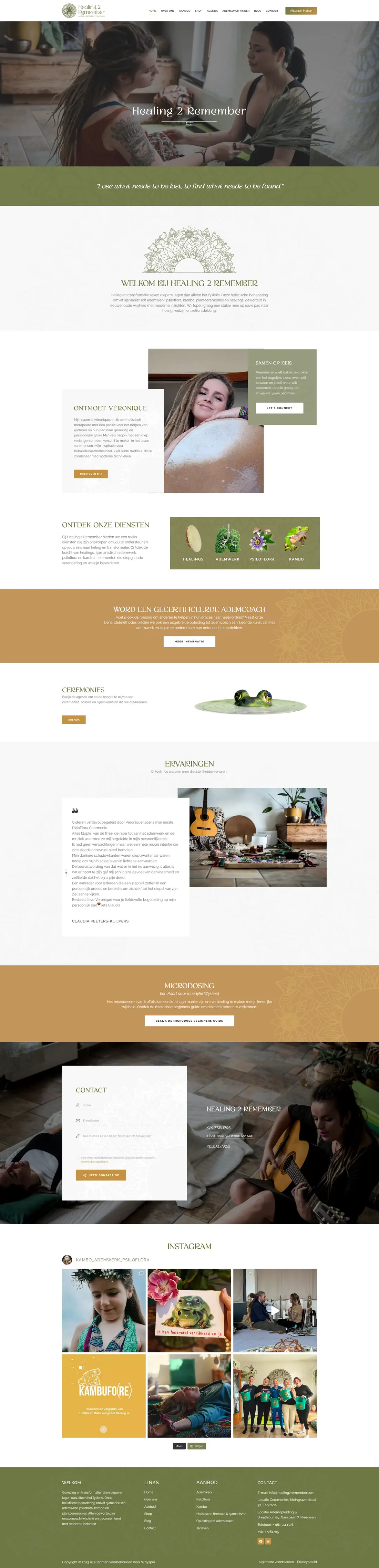 Healing2Remember — Homepage page design